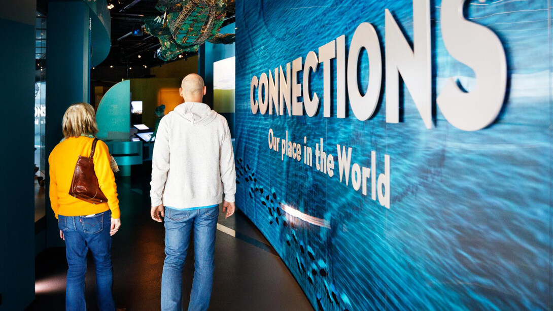 Connections, exhibition view. Courtesy of Western Australian Museum