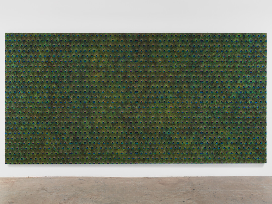 Carol Bove, Untitled, 2014, Peacock feathers and UV filtering acrylic on linen, 4 part sculpture, 96 1/2 x 194 x 5 inches (245.1 x 492.8 x 12.7 cm). Courtesy David Zwirner, New York/London