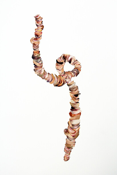 Nikolaus Dolman, Recurring Loop