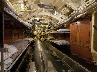 Elusive. Deadly.Captured. Courtesy of Museum of Science and Industry