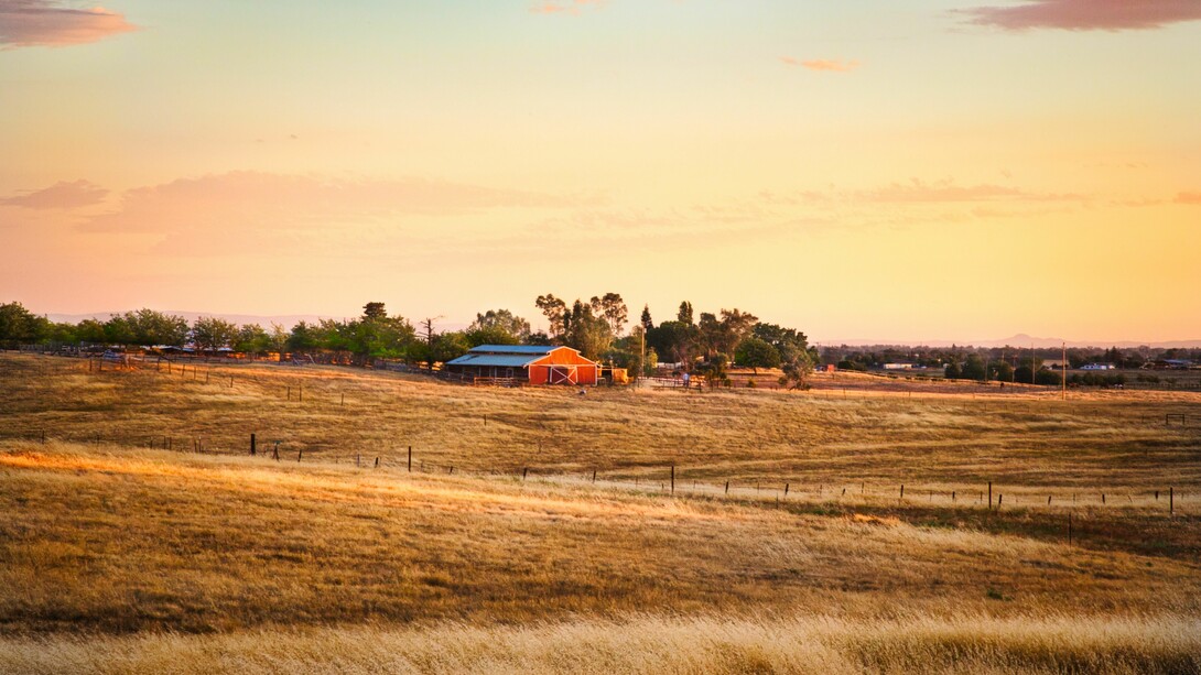 Fattoria. Ma per ora mi godo il momento, niente più traffico, niente più clacson utilizzati in modo squinternato, niente più caos, niente più mille persone in fila per fare una minima cosa, niente di niente. La pace! 