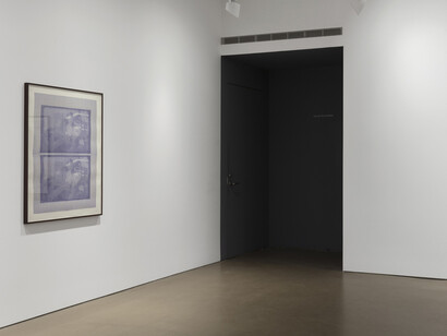 Tandem. Courtesy of Alexander and Bonin Gallery