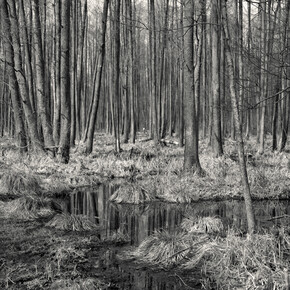 Alys Tomlinson. Courtesy of HackelBury Fine Art