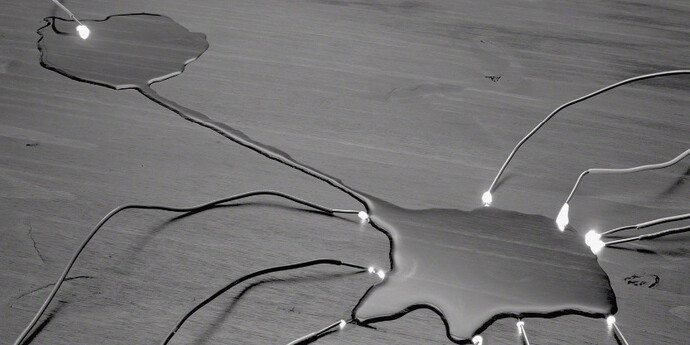 Electricities by David Goldes. Courtesy of Damiani