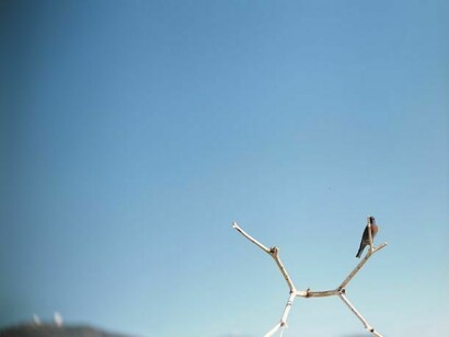 Wilhelm Sasnal, Kacper and Anka, 2009. Olio su tela 180 x 220 cm. Credit Photo: Sadie Coles HQ. Private Collection, London  
