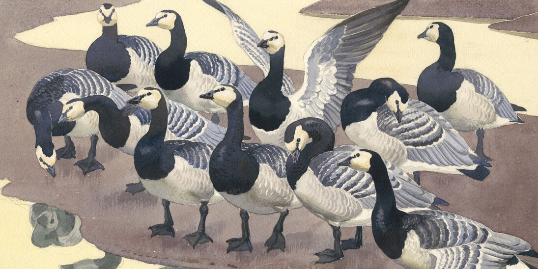 Second Nature. Courtesy of Royal Academy of Arts