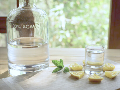 El mezcal, es «vida, cultura y amor»