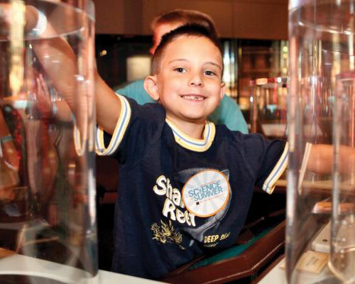 Electricity. Courtesy of The Franklin Institute