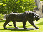 Rembrandt Bugatti, Siberian Tiger