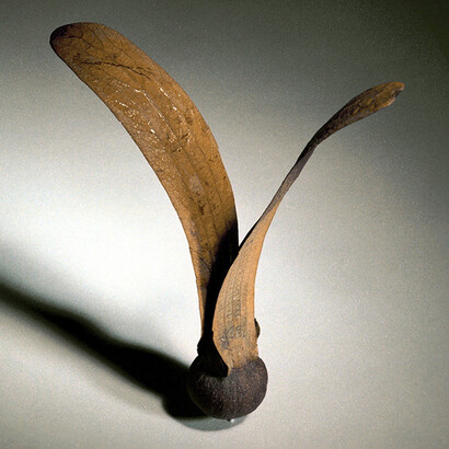 Historic Aviation. Courtesy of Deutsches Museum