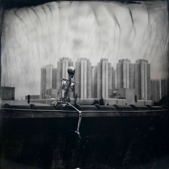 Gavin Au, Still sitting on the wall 12, 2011, Wet Plate Collodion Positive, 54.5 x 54.5 cm (21½ x 21½ in)
