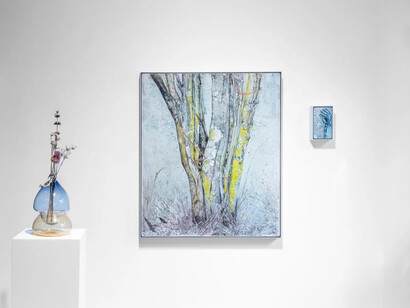 Belinda Fox, Abundance, exhibition view. Courtesy of Arthouse Gallery