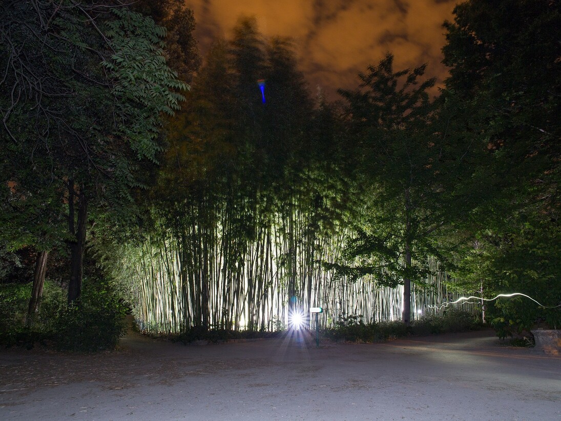 Berdaguer & Pejus, Jardin épileptique — 2014
Installation éphémère. Stroboscopes et table de mixage (lumières). Vue de l’installation au jardin des plantes, Montpellier. Crédit photo : Olivier Cablat
