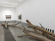 15 artisti per i 15 anni in Cina. Courtesy of Galleria Continua
