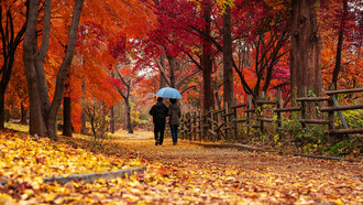 Mis horas preferidas para caminar son las de la mañana y cuando regreso a casa al atardecer