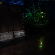 Tania Candiani, Radix, exhibition view. Courtesy of IVAM