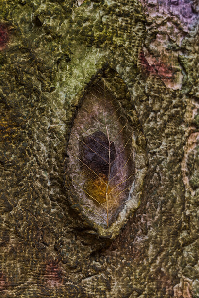 Aryana Minai, Life Forms XVI (detail), 2023. Dyed handmade paper mounted on panel, 21 x 17½ in (53.3 x 44.5 cm). Courtesy of Shulamit Nazarian LA