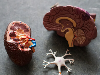 Imagines agentes are a composition of meaningful images that make up an episode