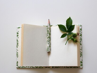 La soledad de la hoja en blanco