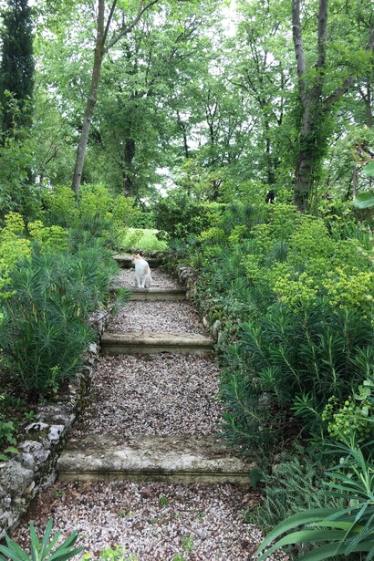 Scalini in ghiaia e legno con gattino,Giardino della Torre e delle piante tenaci, Vicenza, Italia