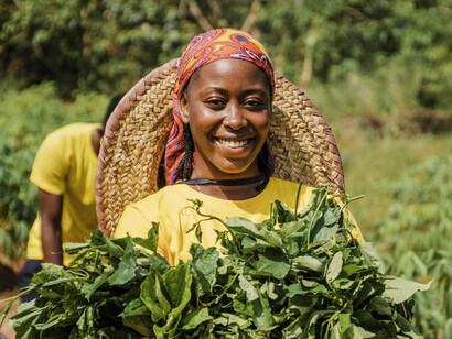 Despite their hard work, Kenyan tobacco farmers like Jonathan find it difficult to survive, with little left after BATK's deductions from their already low wages