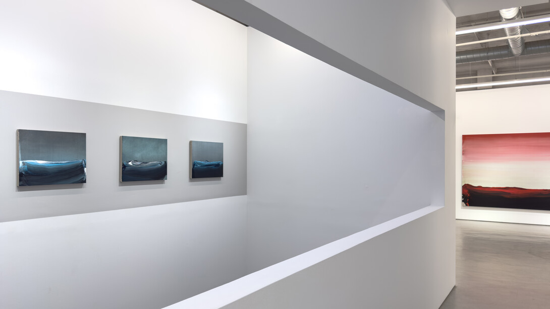 Nico Munuera, El sauce es verde, vista de exhibición. Cortesía de Galería Moisés Pérez de Albéniz