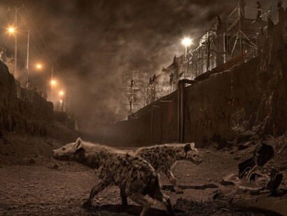 Nick Brandt. Courtesy of Waddington Custot Galleries