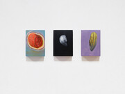 bn+BRINANOVARA, Unpredictable Ecosystem 21 - 24 - 27, 2020, oil paint, sanded enamels, mdf board, wood, transparent varnish,18x13,5x4 cm each,courtesy the artists
