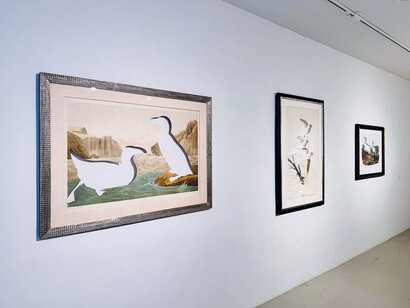 Brandon Ballengée, L’art de la solitude, Exhibition View, 2023. Courtesy of Jennifer Baahng Gallery