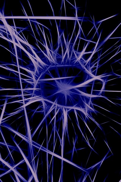 Descifrando los enigmas del cerebro