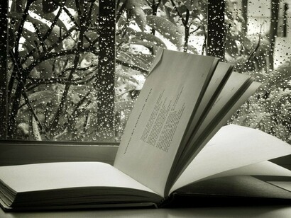 Las páginas de un libro abierto