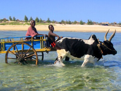 Les principales familles Sakalava venaient de la province d'Isaka, située sur la côte sud-est de Madagascar