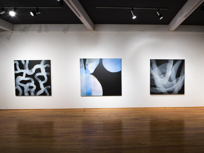 Michelle Concepción, Chaos to Order, installation view. Courtesy of the artist and ArtSpace/Virginia Miller Galleries