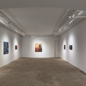 Alessandro Fogo, Distopica, exhibition view. Courtesy of Lyles & King Gallery