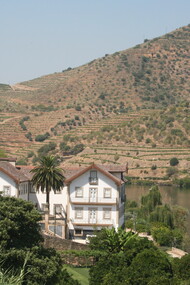 Alto Douro, quinta. Fotografia Sérgio Lira