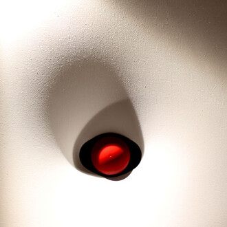 Pelle. Courtesy of Statuto 13 