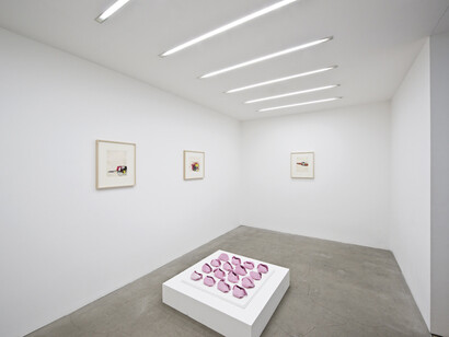 Installation of Hannah Wilke: Sculpture 1960s-'80s at Alison Jacques Gallery, London; Photography Michael Brzezinski