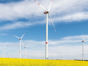 Wind turbines rising above vibrant fields, representing China's long-term investment in energy security and technological advancement