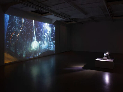 Hicham Berrada, Dilutions, exhibition view. Courtesy of Mennour Gallery