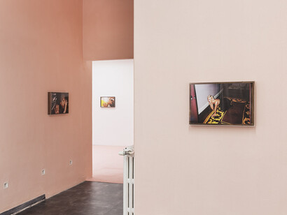 Yves Scherer. The last of English roses, exibition view