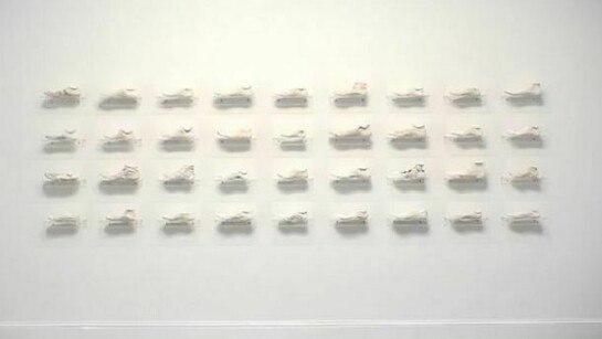Clarissa Tossin, Ladrão de Tênis (Sneaker Thief), 2009. Hydrocal and acrylic shelves. Dimensions variable.