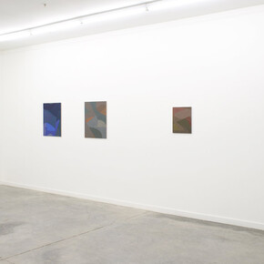 Nancy White, new paintings, exhibition view. Courtesy of Romer Young Gallery 