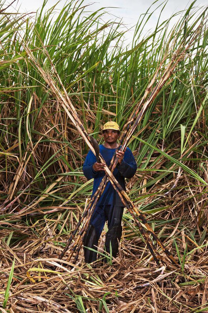 Jonathas de Andrade. Courtesy of Museum of Contemporary Art