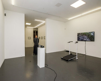 Abîmes et sommets. Courtesy of Galerie Laurence Bernard