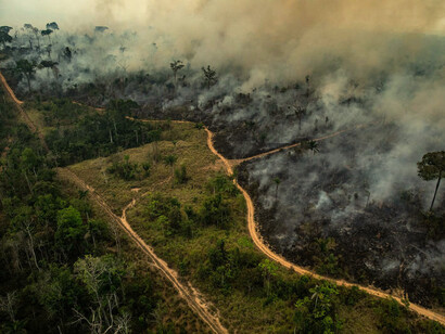 Los diez principios de la conferencia de Bandung de 1955, que originaría el NOAL, mantienen su vigencia