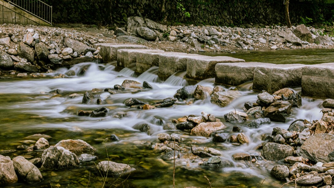 Agora, estou em cima da pedra que rola na casa de Yemanjá. A Mãe do Mar, aquela que ensina a amar. Você sabe né dona Alma? Quem me recebeu foi Julia de Janaína, então me sinto muito Bem Cuidada e Acolhida. Agradecida Julia de Janaina, sobretudo, sabe por quê? Porque ela Cuida de Gente, quer dizer, de Almas, ainda sem gênero, mas intencionalmente femininas. Nas asas do passarinho ou nas patas da Lobinha. Eu sei que a Alma não tem gênero? Tem dona Alma?