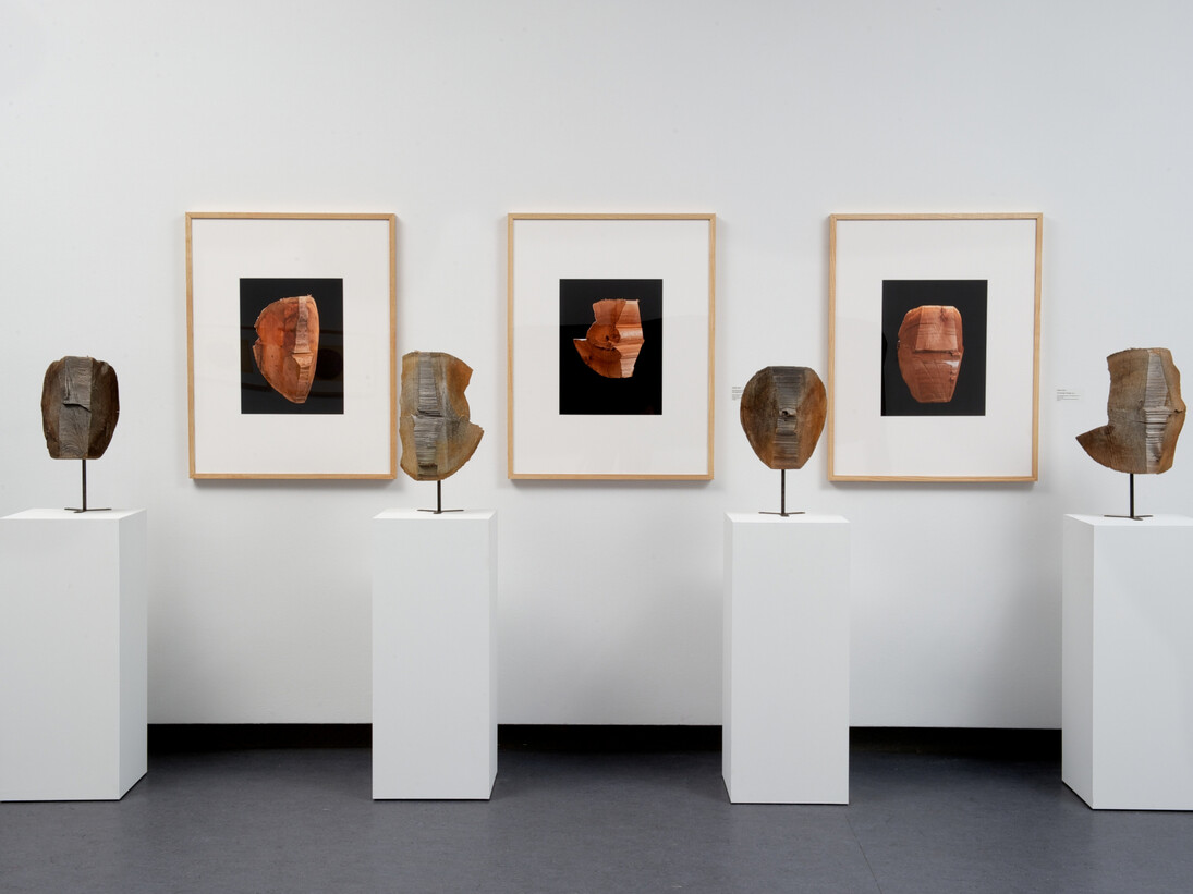 Sonny Assu, Longing, reclaimed cedar, brass mount