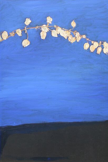 Jocelyn Clarke, Seedpods, 2014, 36 x 25 cm, oil on board