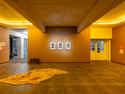 Various artists, Autopsy, exhibition view. Courtesy of Seventeen Gallery