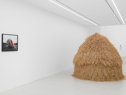 Anca Munteanu Rimnic, Treatise on Bruises, ausstellungsansicht. Mit freundlicher genehmigung der Galerie Plan B